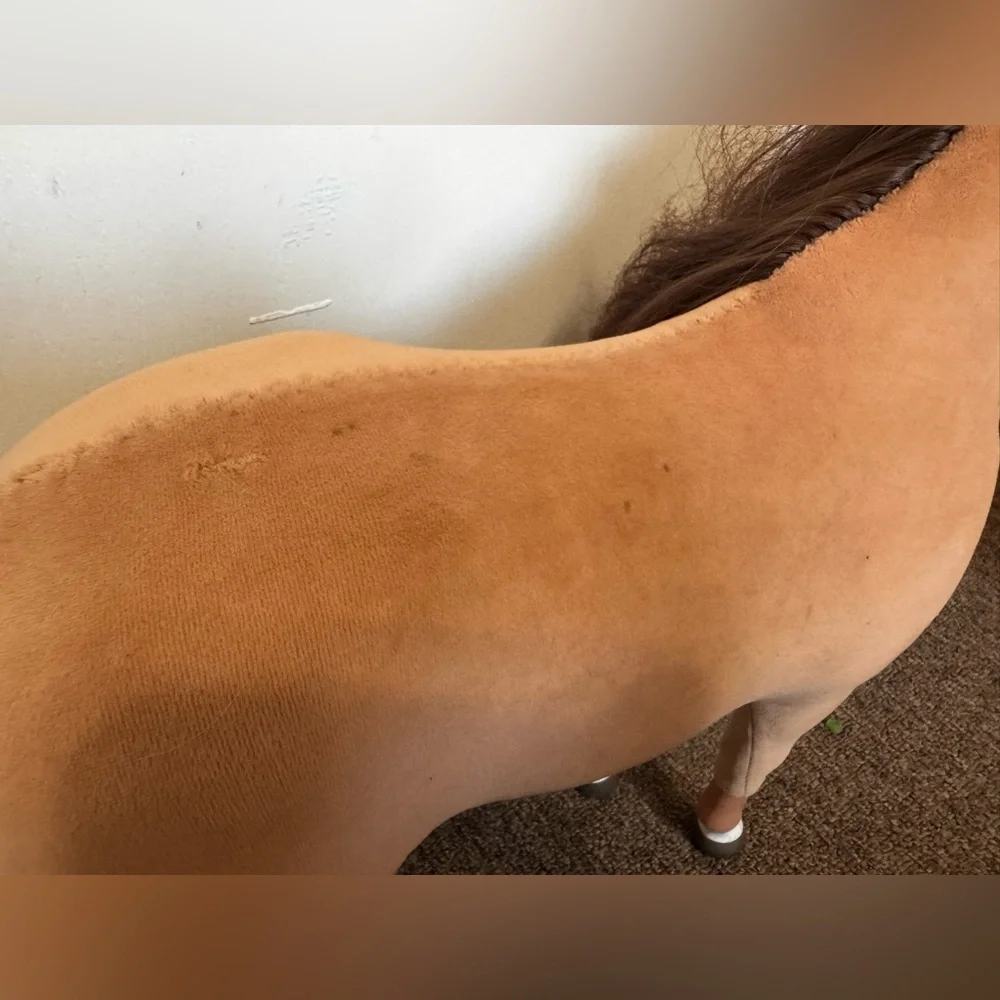 American Girl Chestnut Colored Horse
